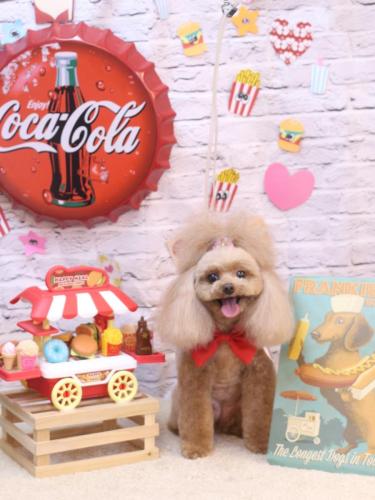 20230928麦ちゃん